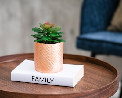 Foto 4 | Planta Artificial con Maceta Starhaus 16 cm