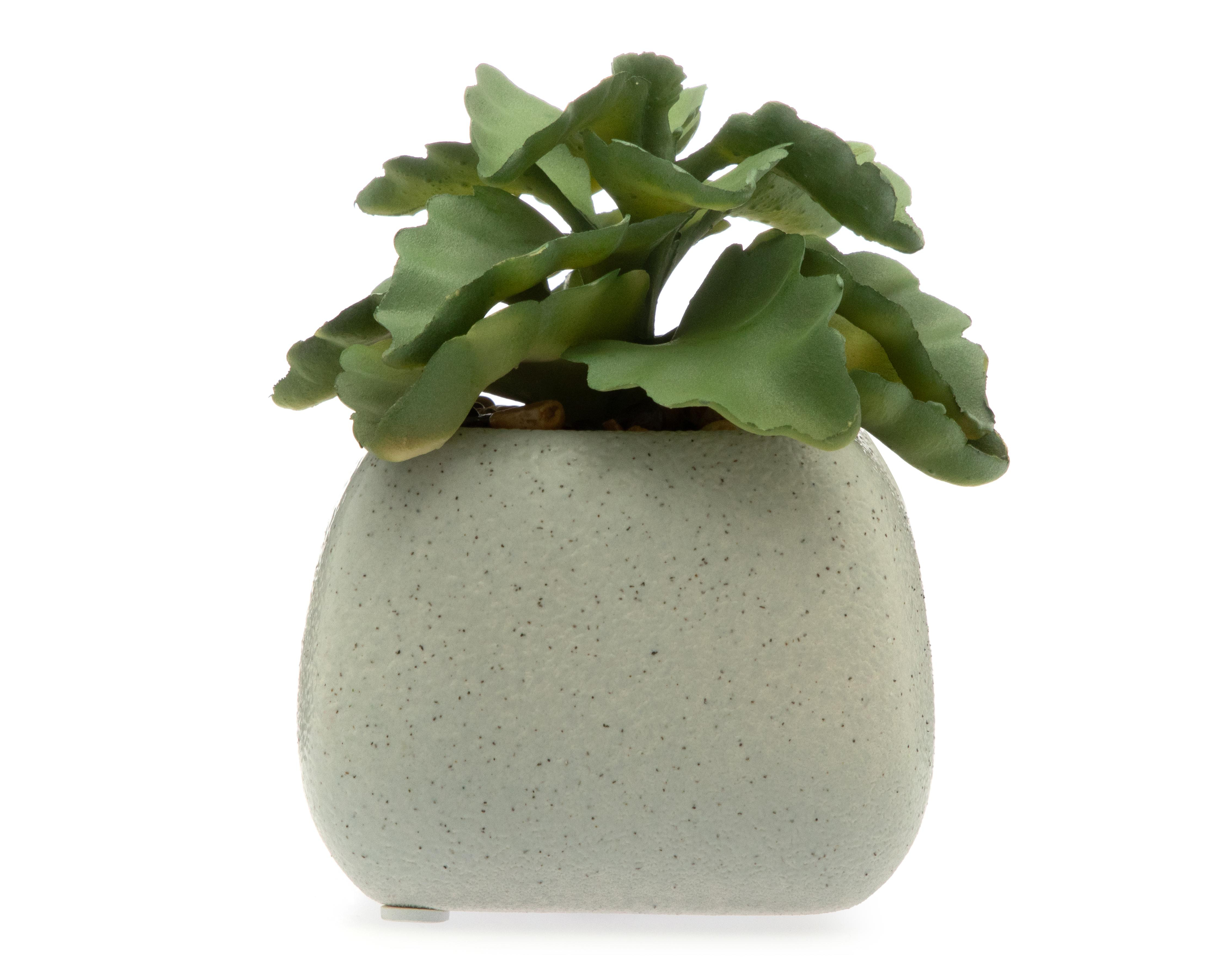 Planta Artificial con Maceta Starhaus 12 cm