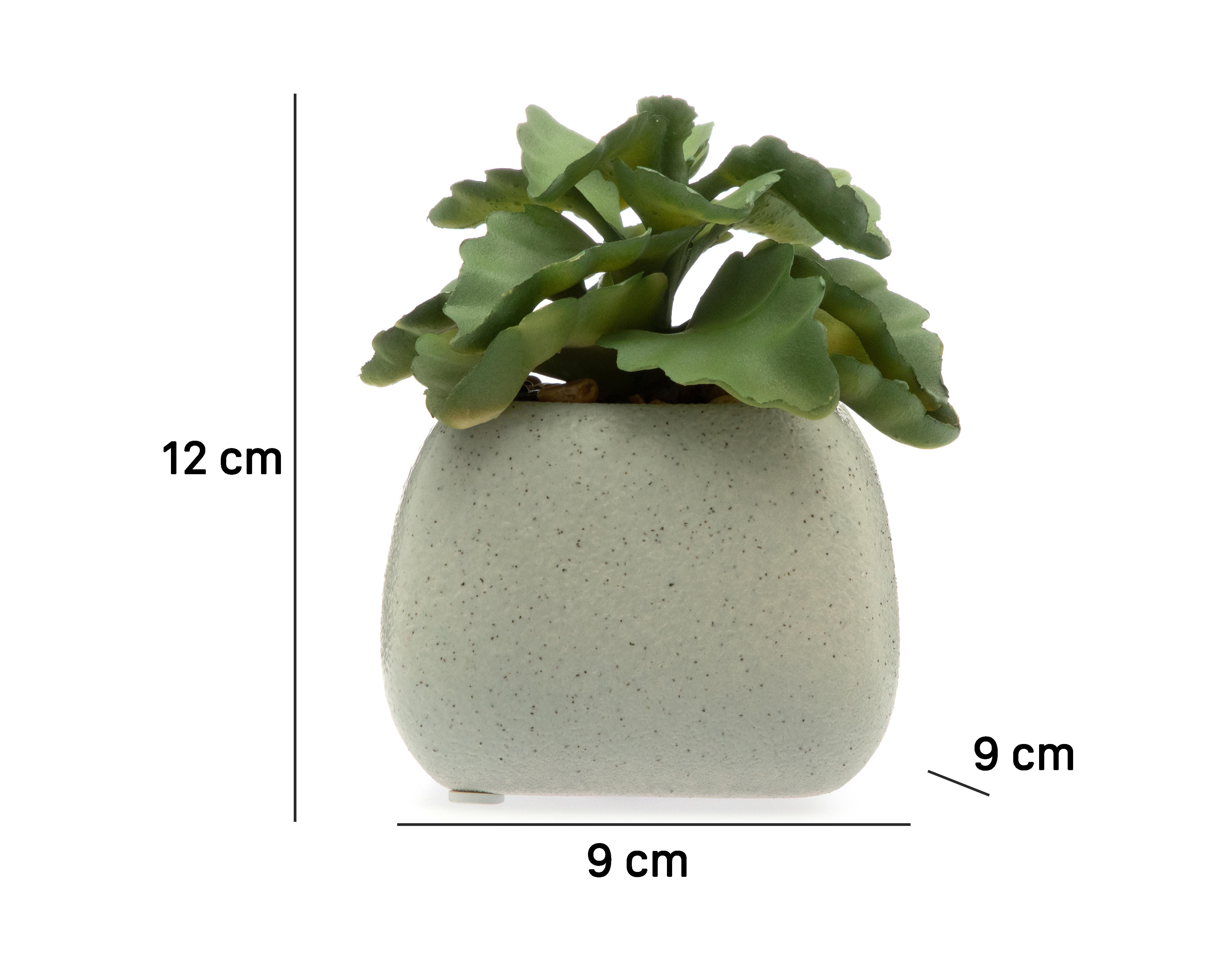 Foto 5 | Planta Artificial con Maceta Starhaus 12 cm