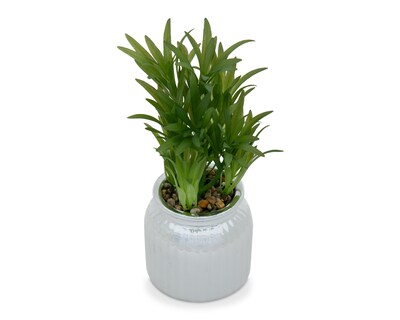 Foto 2 | Romero Artificial con Maceta Starhaus 26 cm