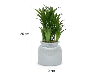 Foto 5 | Romero Artificial con Maceta Starhaus 26 cm