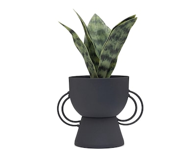 Foto 1 | Sansevieria Artificial con Maceta Starhaus 22 cm