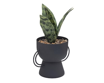 Foto 2 | Sansevieria Artificial con Maceta Starhaus 22 cm