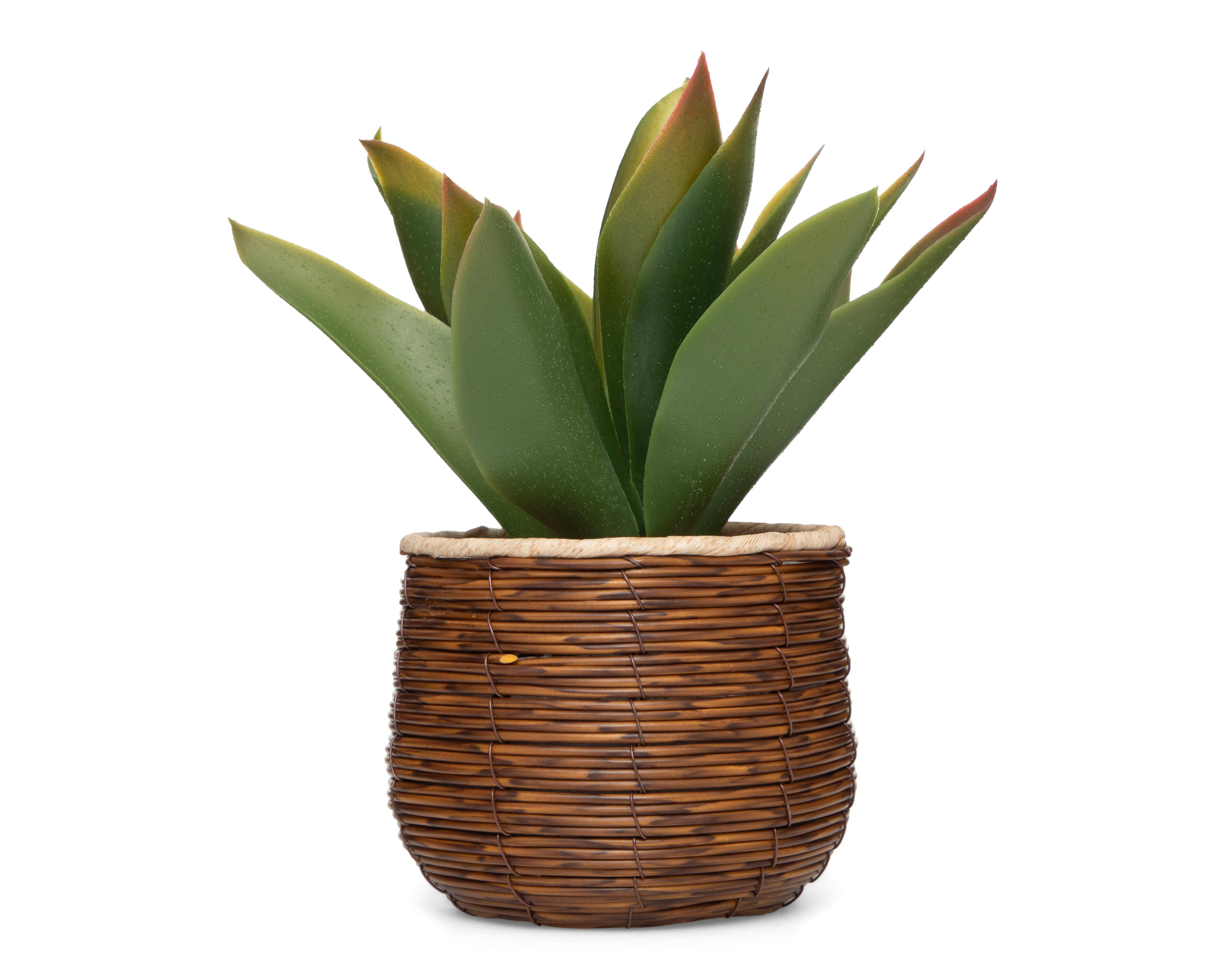 Agave Artificial con Maceta Starhaus 23 cm