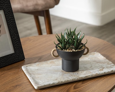 Foto 4 | Agave Artificial con Maceta Starhaus 15.5 cm