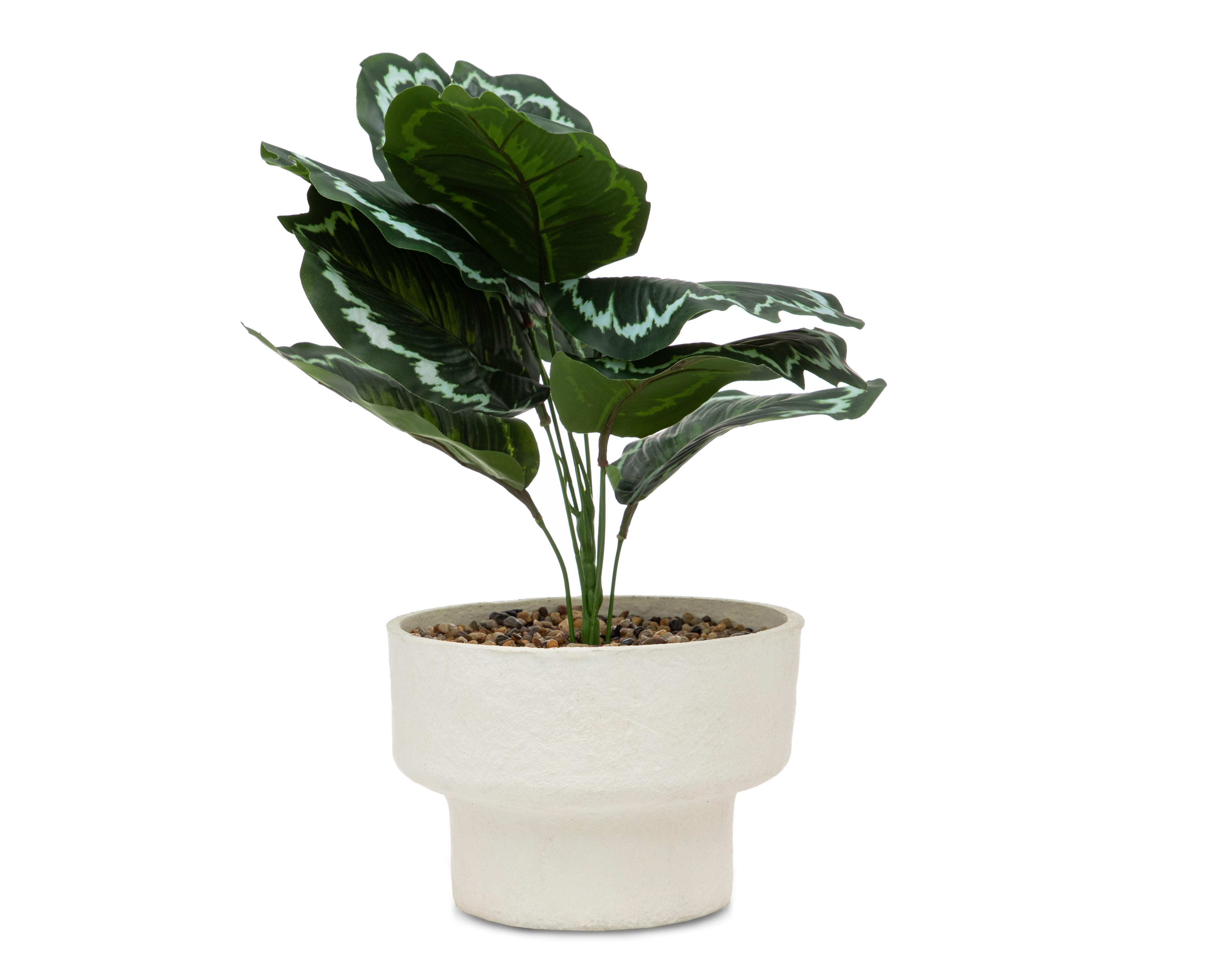 Foto 2 pulgar | Calathea Artificial con Maceta Starhaus de 43 cm