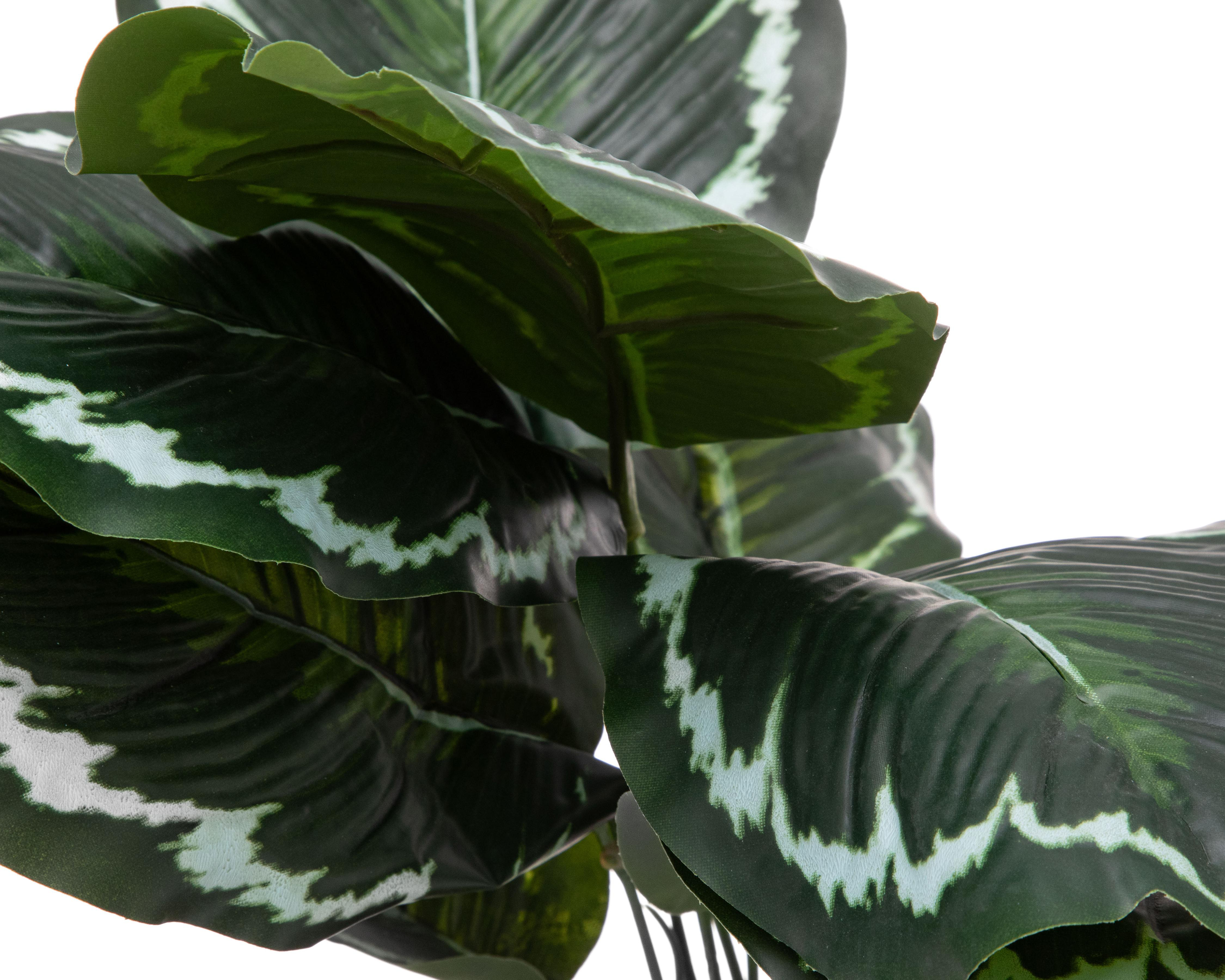 Foto 3 pulgar | Calathea Artificial con Maceta Starhaus de 43 cm