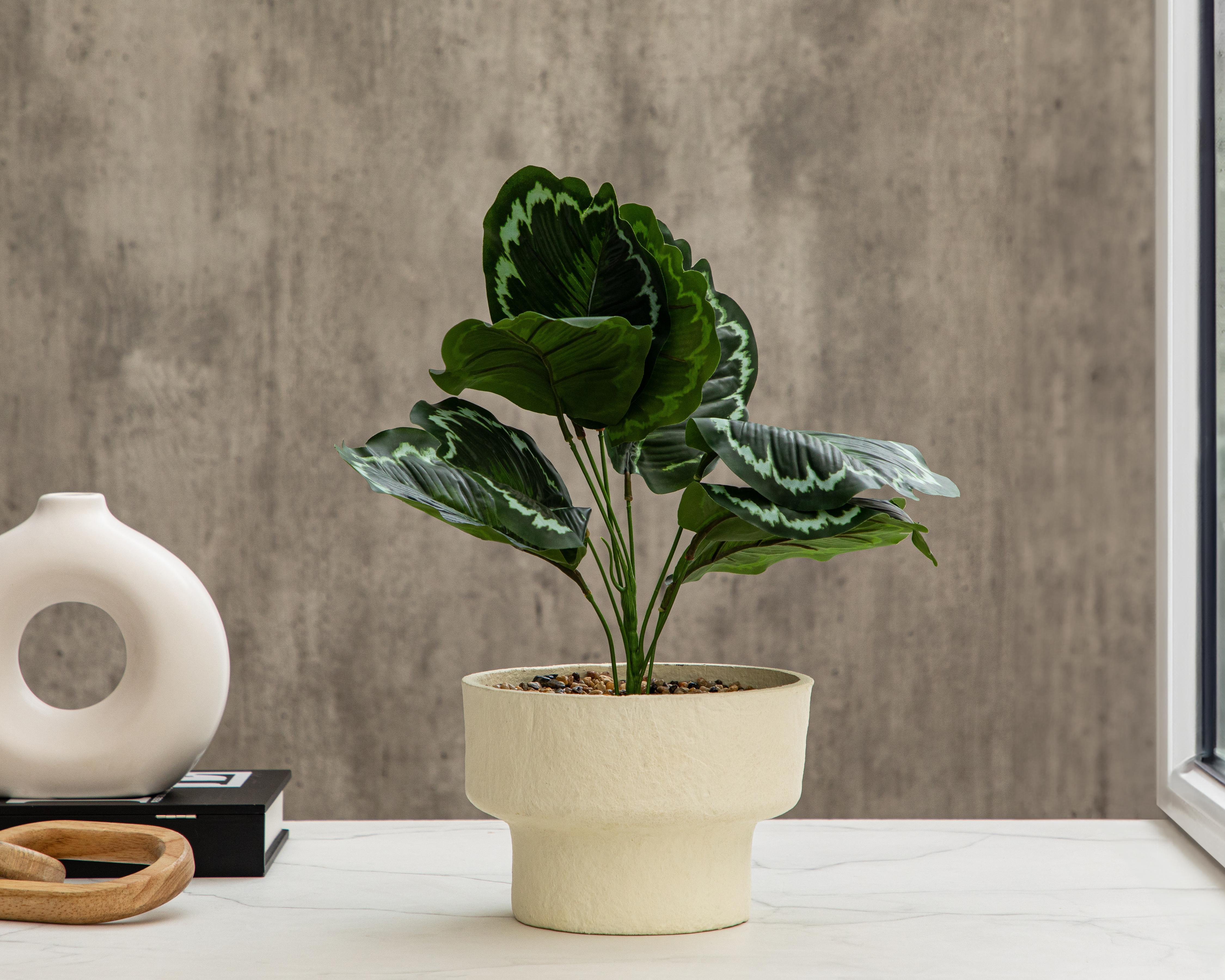 Foto 4 | Calathea Artificial con Maceta Starhaus de 43 cm