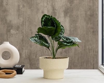 Foto 4 | Calathea Artificial con Maceta Starhaus de 43 cm