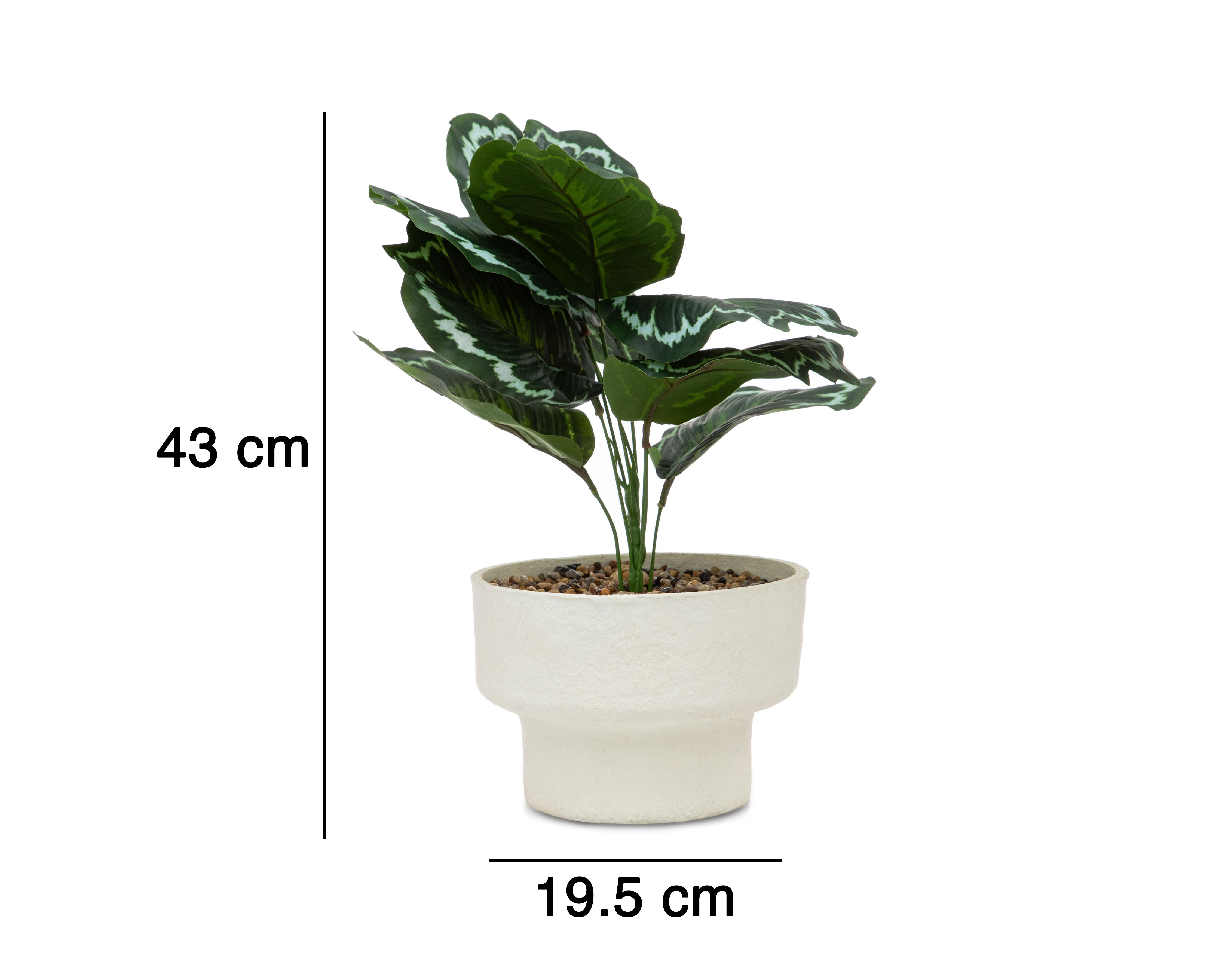 Foto 6 pulgar | Calathea Artificial con Maceta Starhaus de 43 cm