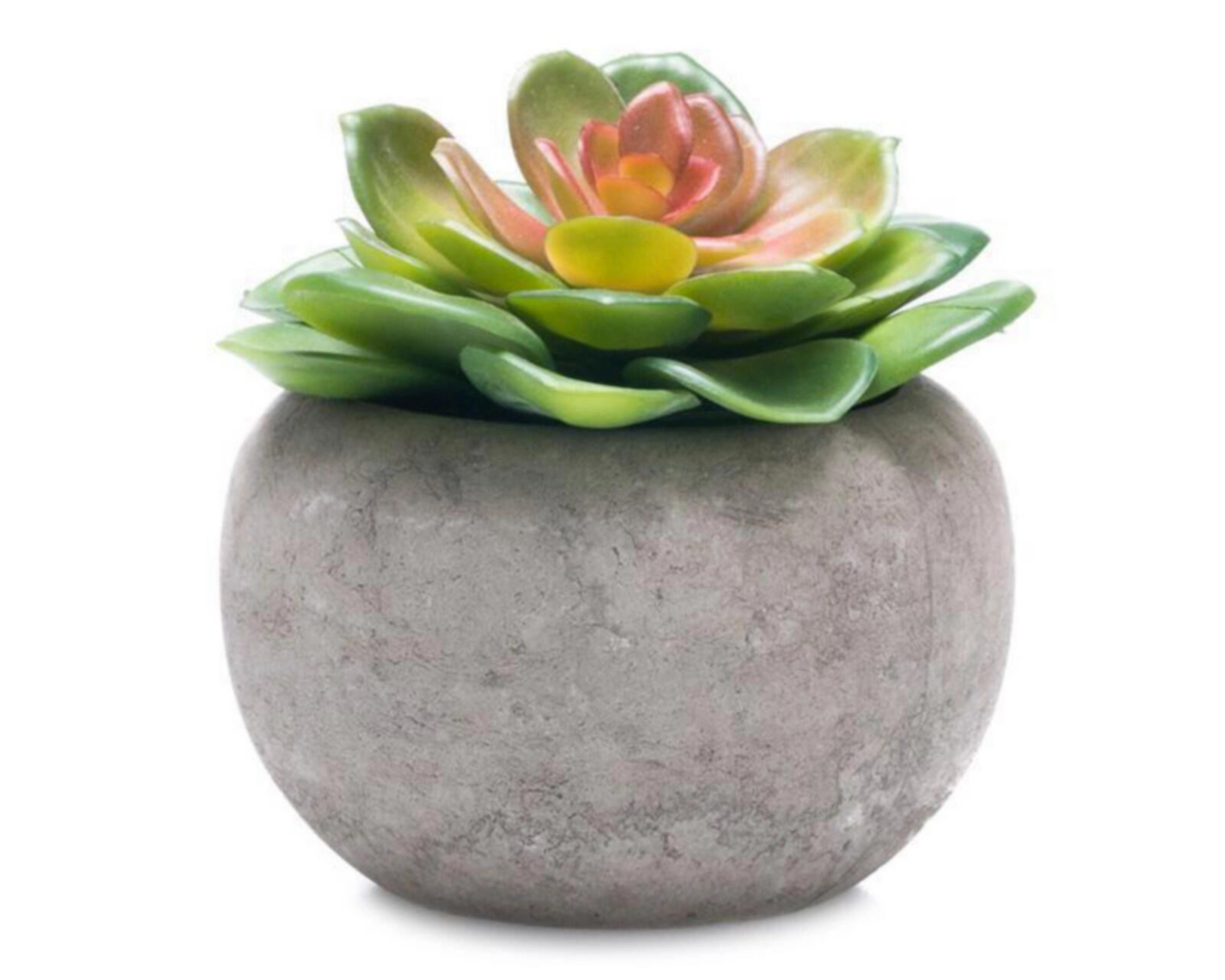 Foto 2 pulgar | Planta Decorativa Janeth Gris