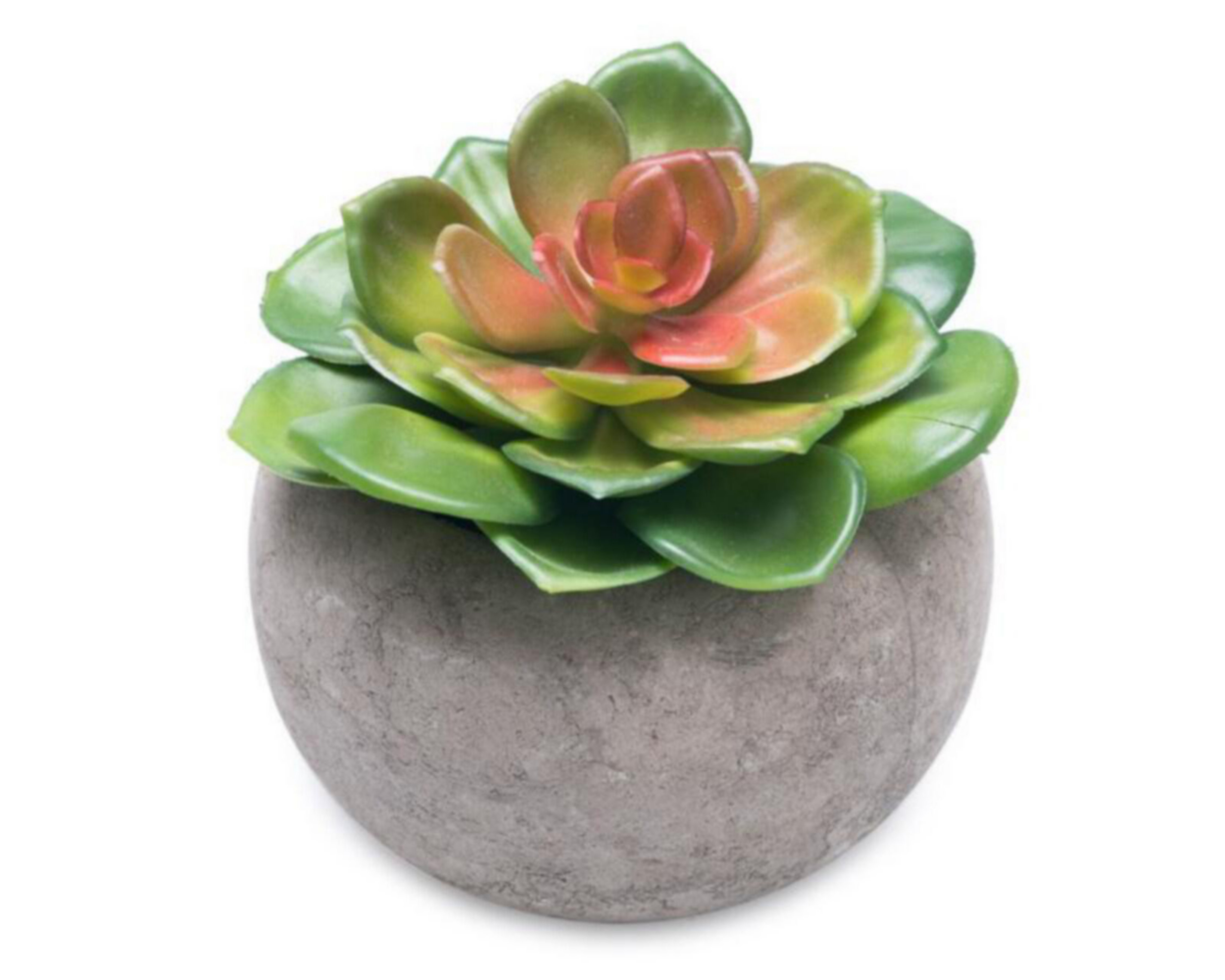 Foto 3 pulgar | Planta Decorativa Janeth Gris