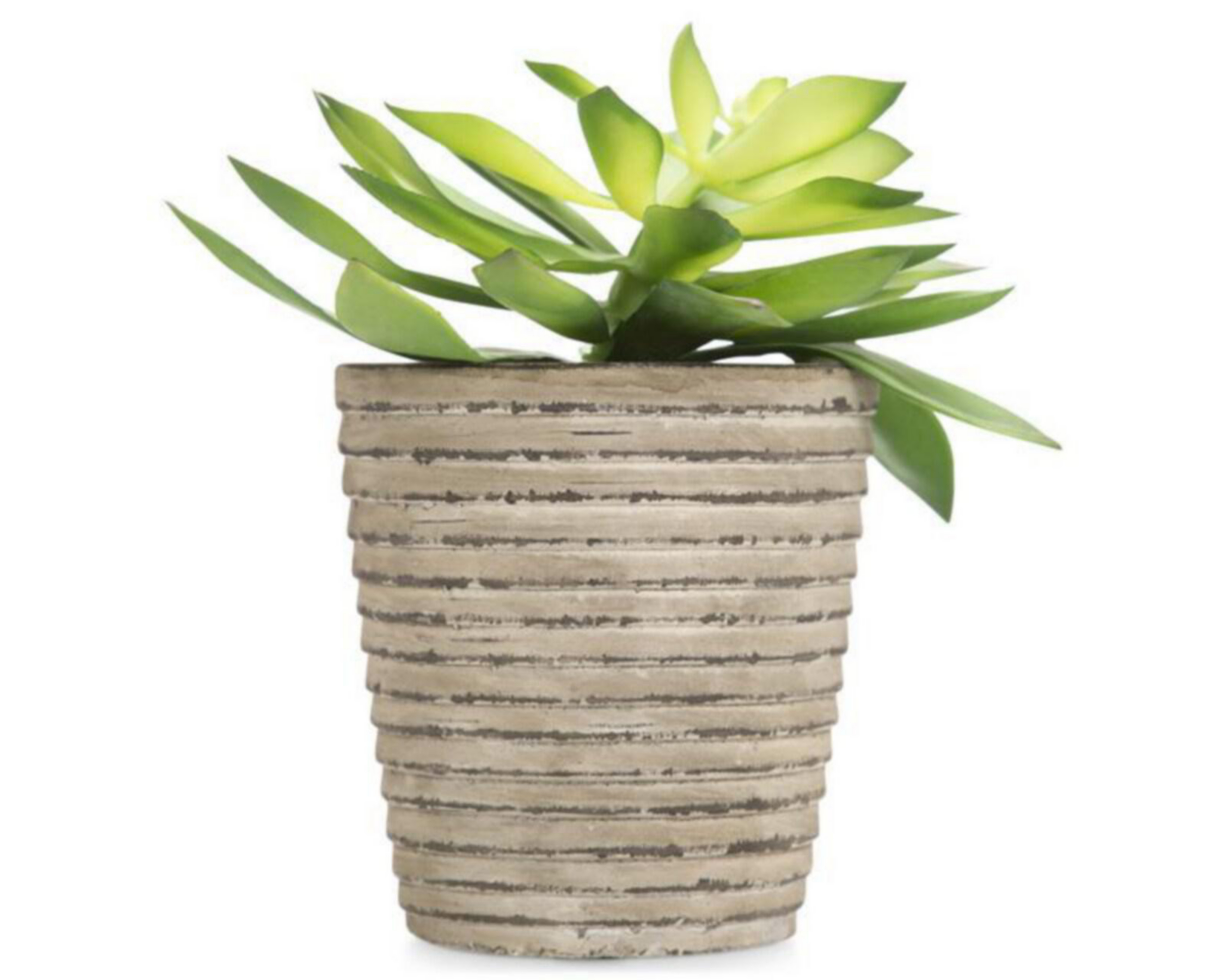 Foto 1 | Planta Artificial Gaby de 21 cm