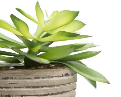 Foto 3 | Planta Artificial Gaby de 21 cm