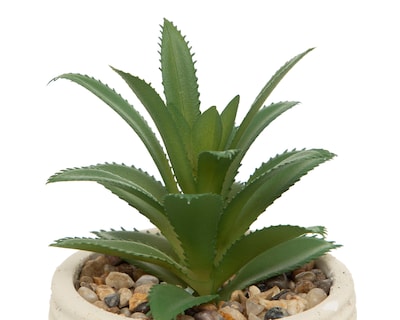 Foto 3 | Suculenta Artificial con Maceta Starhaus 17 cm