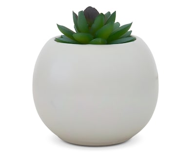 Foto 1 | Suculenta Artificial con Maceta Starhaus 11 cm