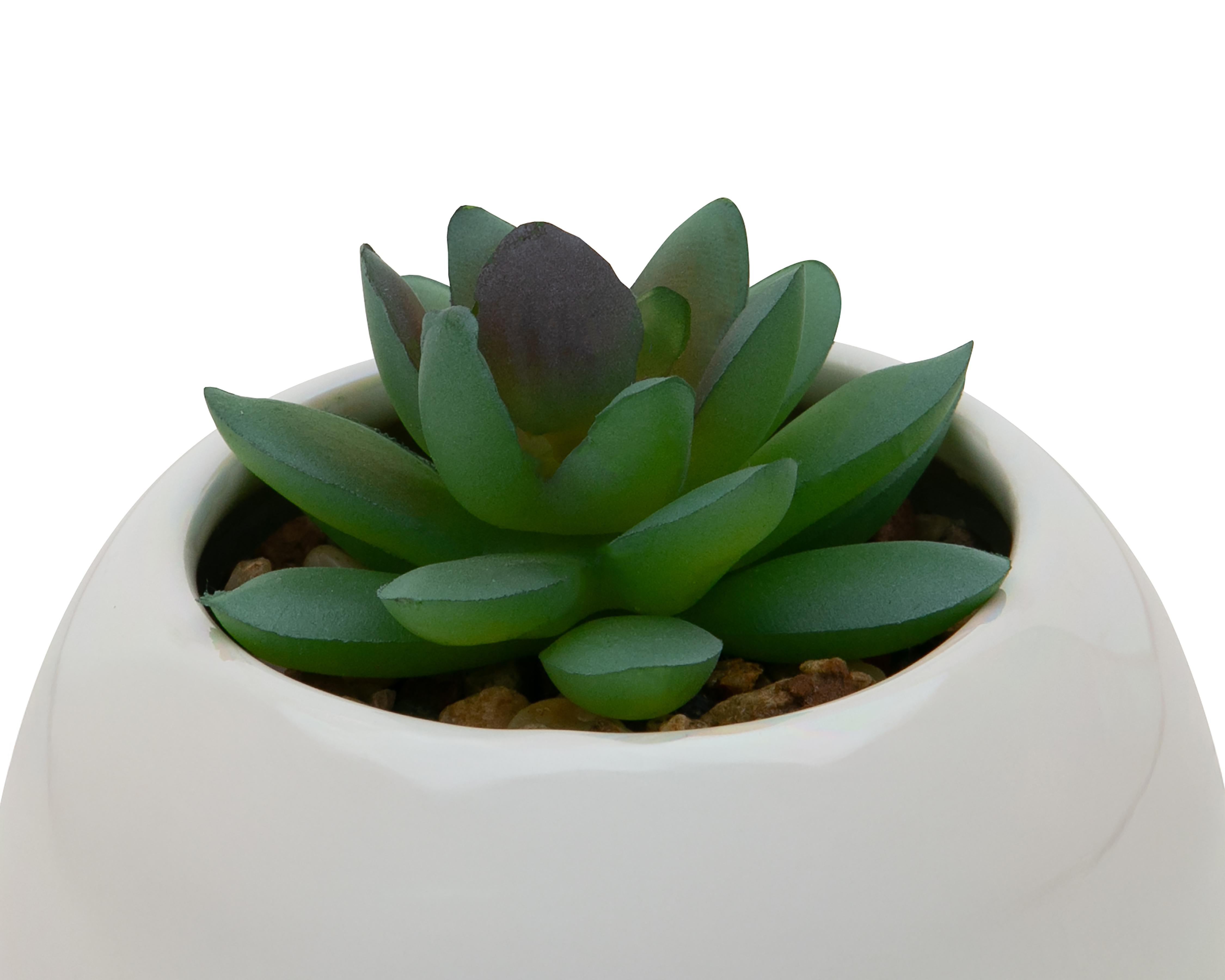 Foto 4 pulgar | Suculenta Artificial con Maceta Starhaus 11 cm