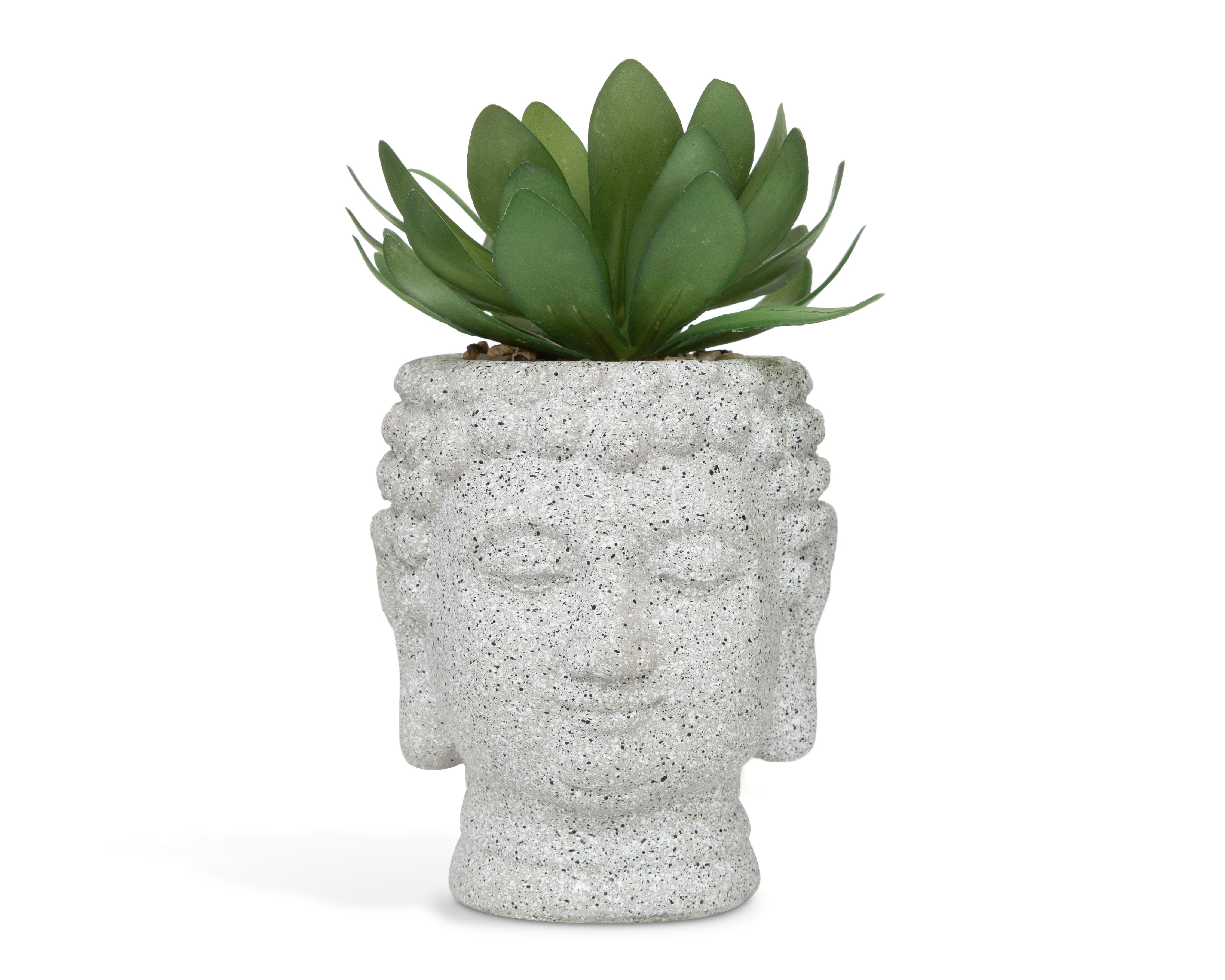 Suculenta Artificial con Maceta Starhaus 20 cm