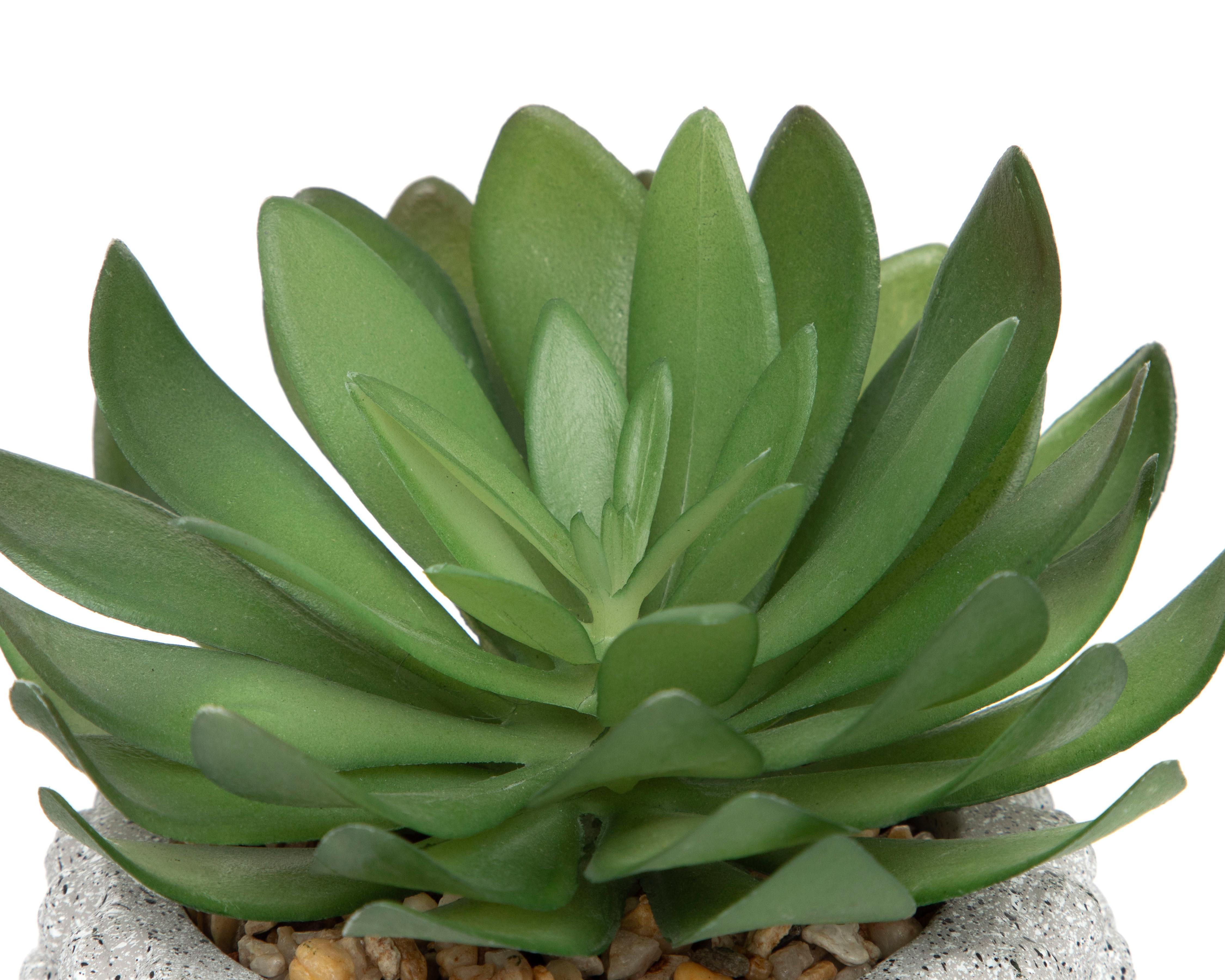 Foto 4 pulgar | Suculenta Artificial con Maceta Starhaus 20 cm
