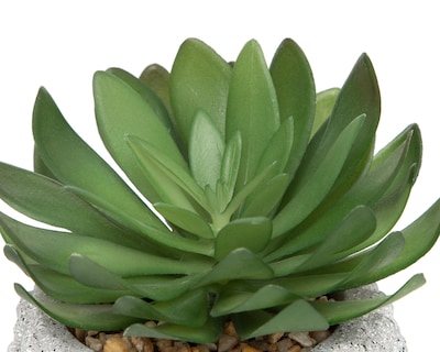 Foto 3 | Suculenta Artificial con Maceta Starhaus 20 cm