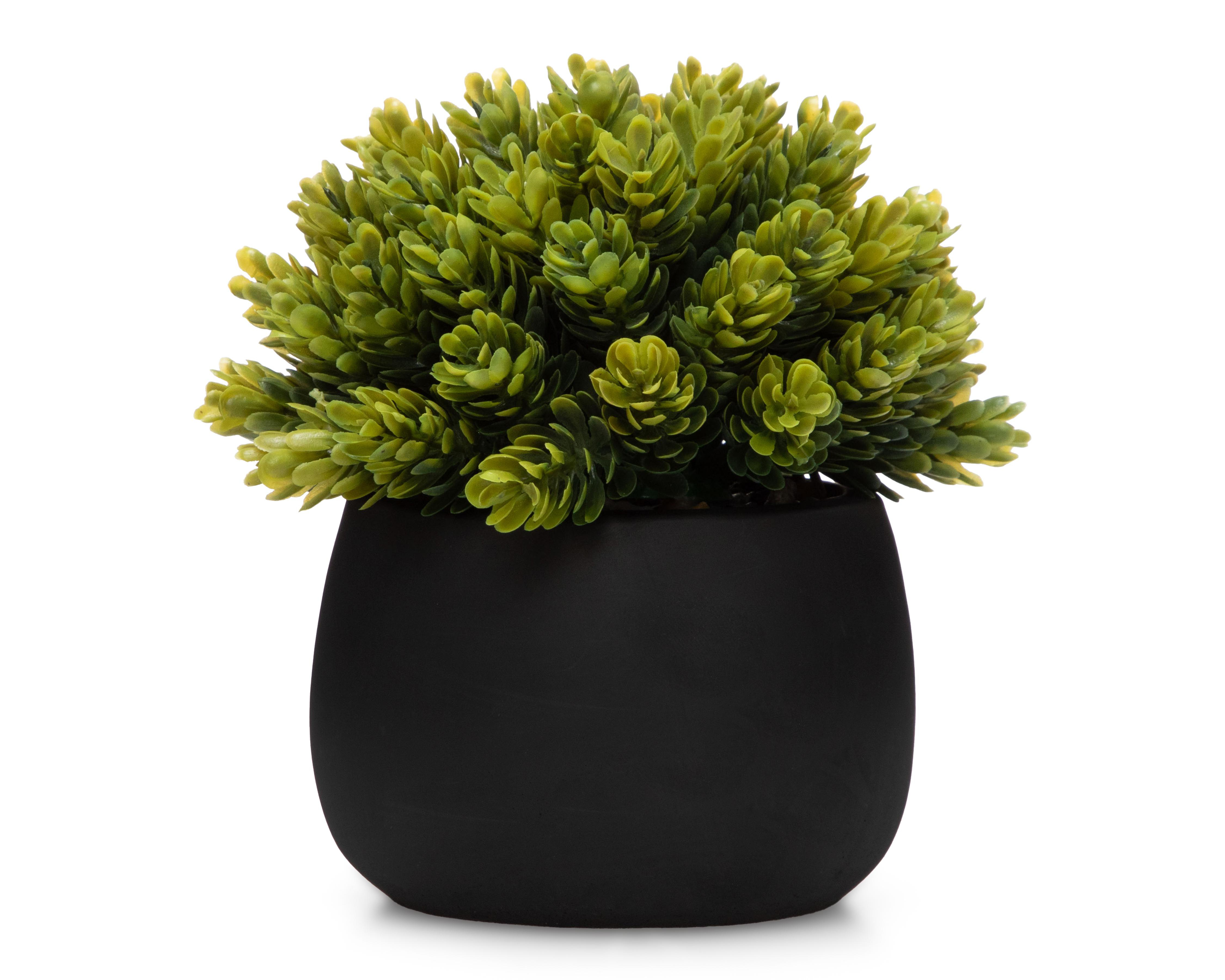 Foto 1 | Planta Artificial con Maceta Starhaus 16 cm