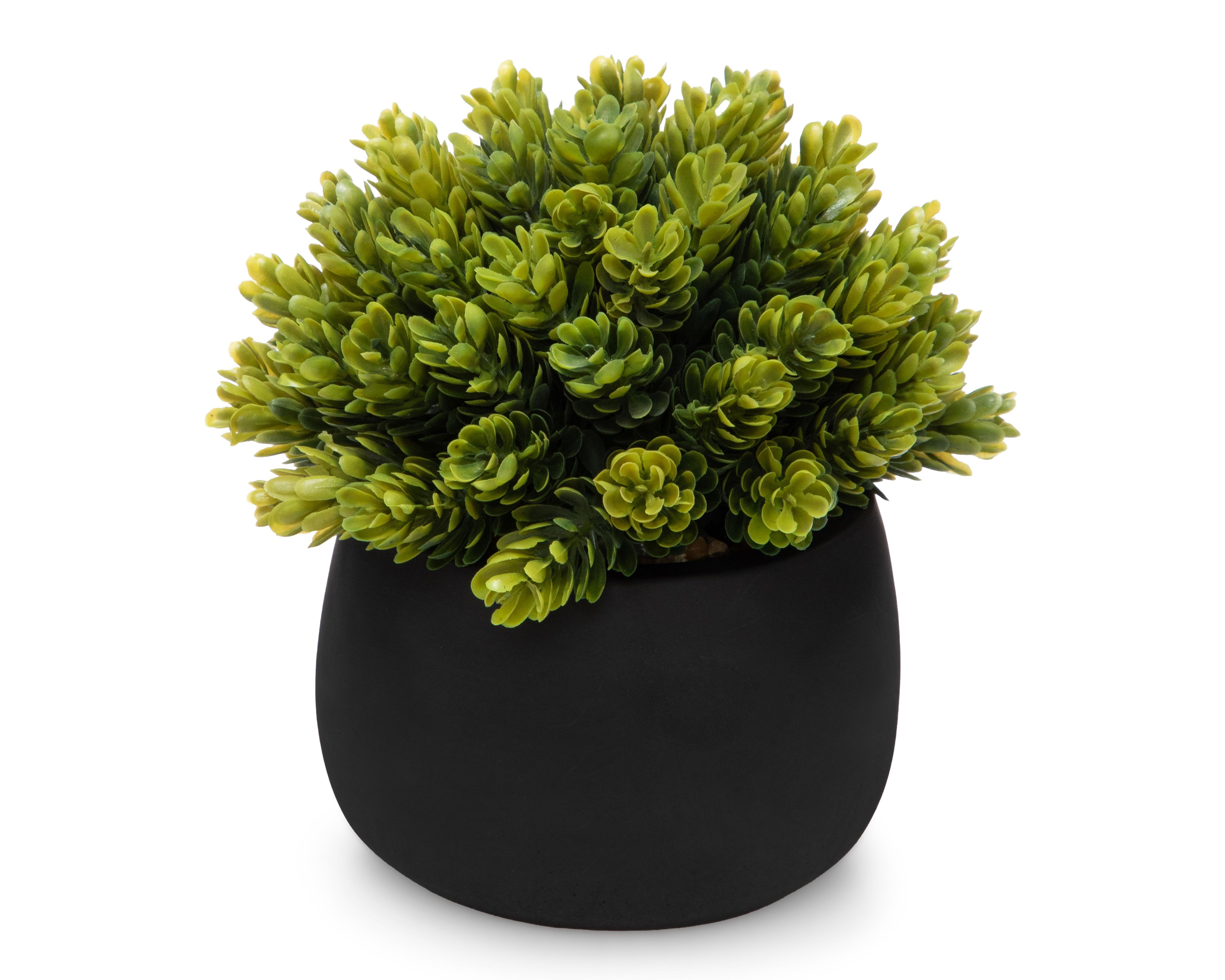 Foto 3 pulgar | Planta Artificial con Maceta Starhaus 16 cm