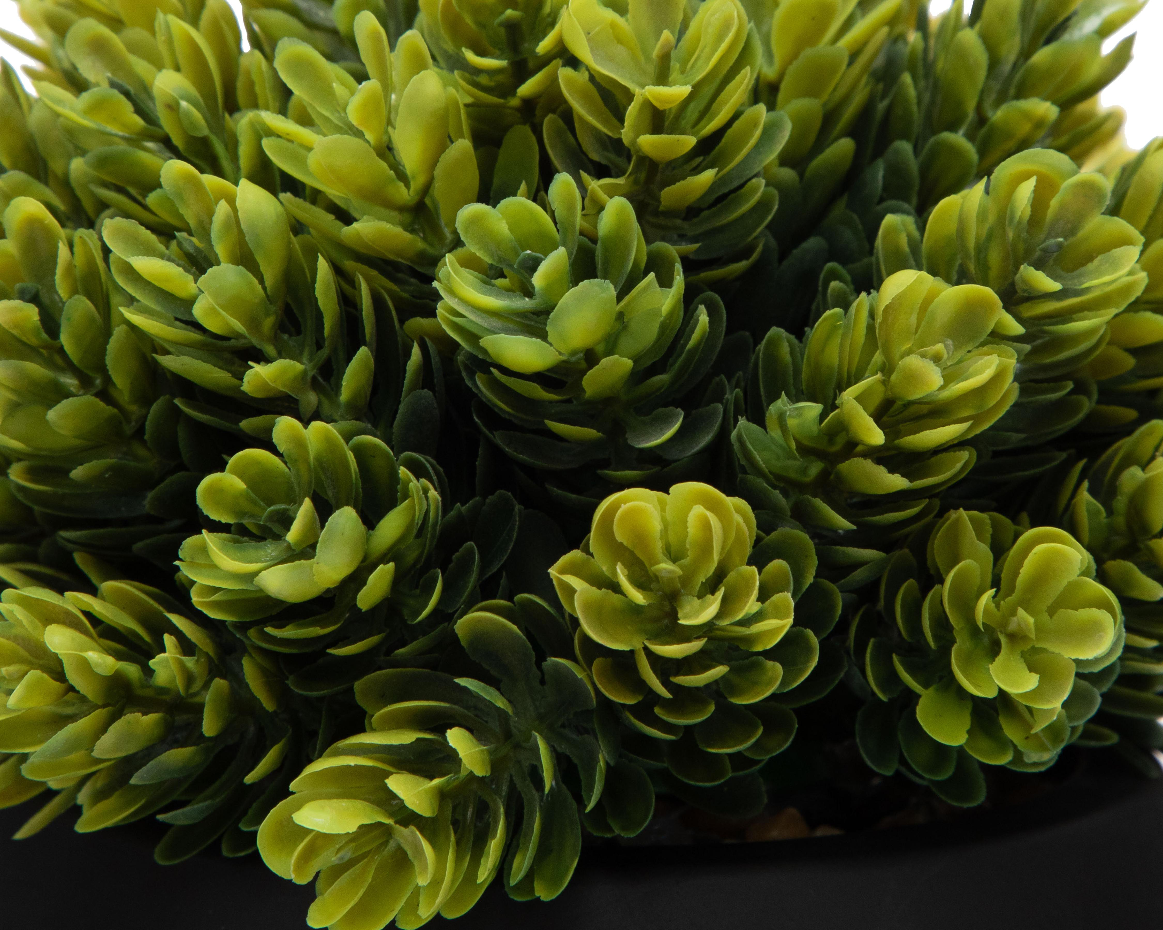 Foto 4 pulgar | Planta Artificial con Maceta Starhaus 16 cm