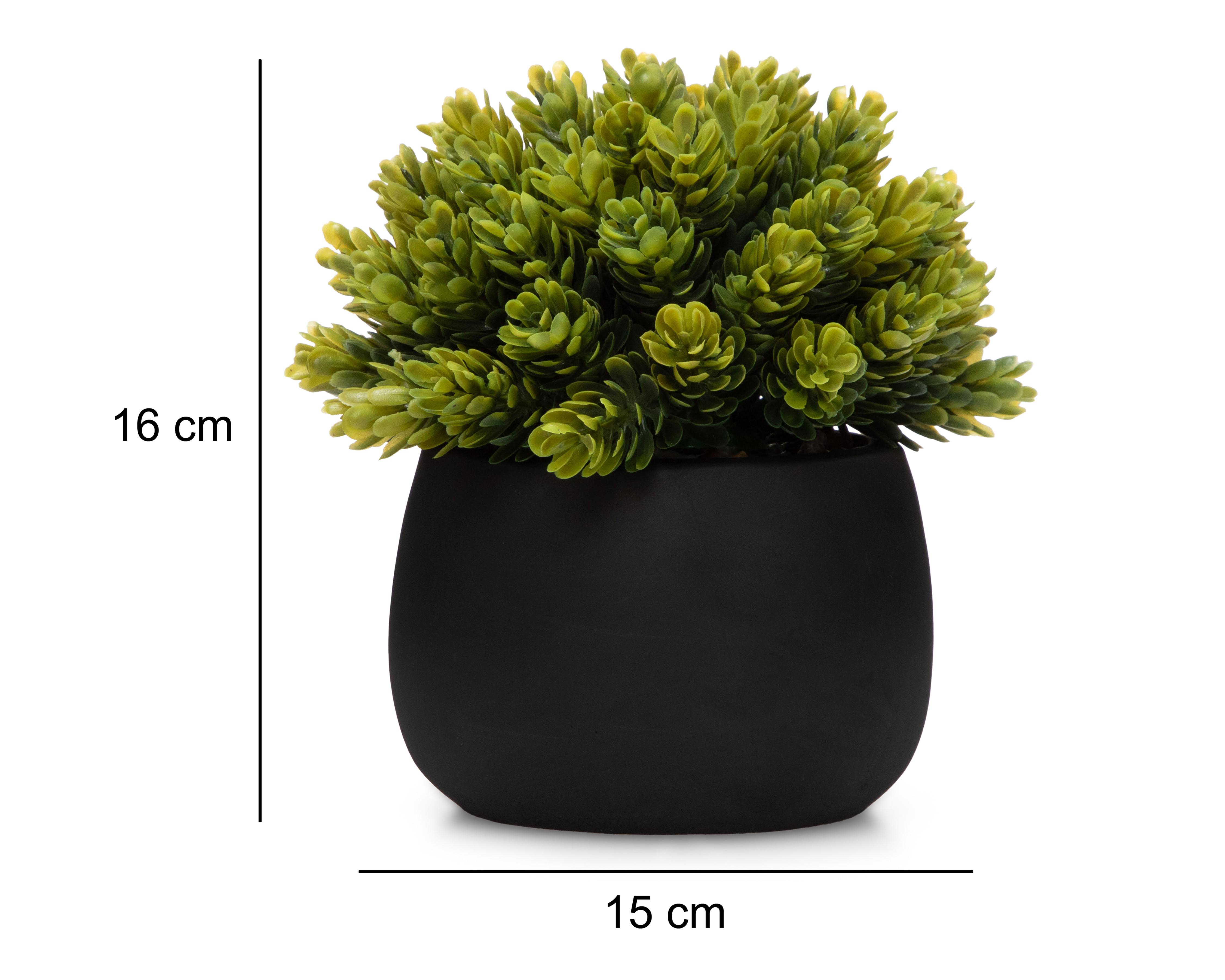 Foto 6 pulgar | Planta Artificial con Maceta Starhaus 16 cm