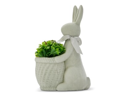 Foto 1 | Suculenta Artificial con Maceta Starhaus 22 cm
