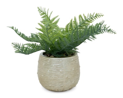 Foto 1 | Helecho Artificial con Maceta Starhaus 24 cm