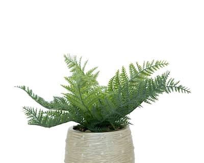Foto 3 | Helecho Artificial con Maceta Starhaus 24 cm