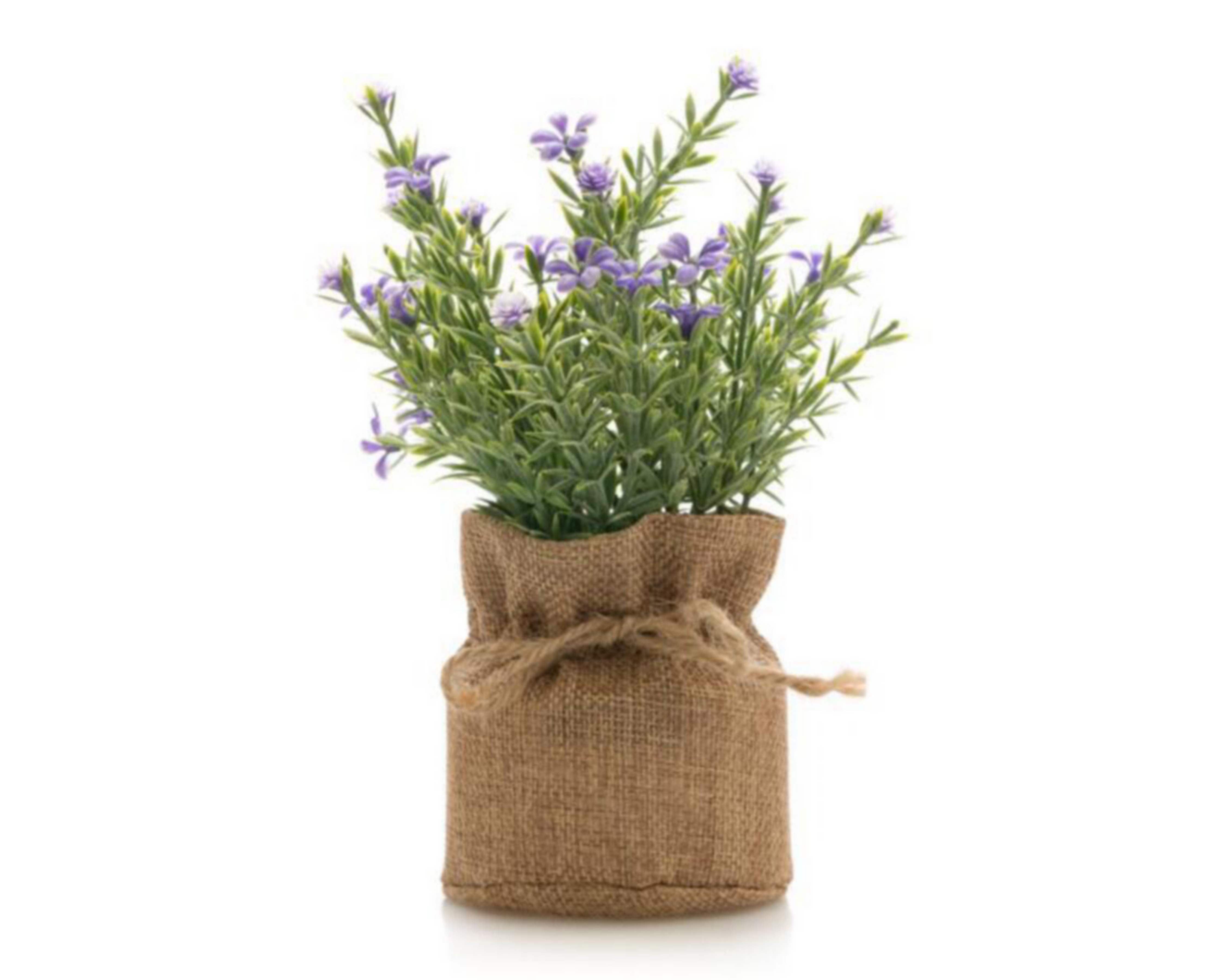 Planta Decorativa Ellis Purple de 18 cm $49