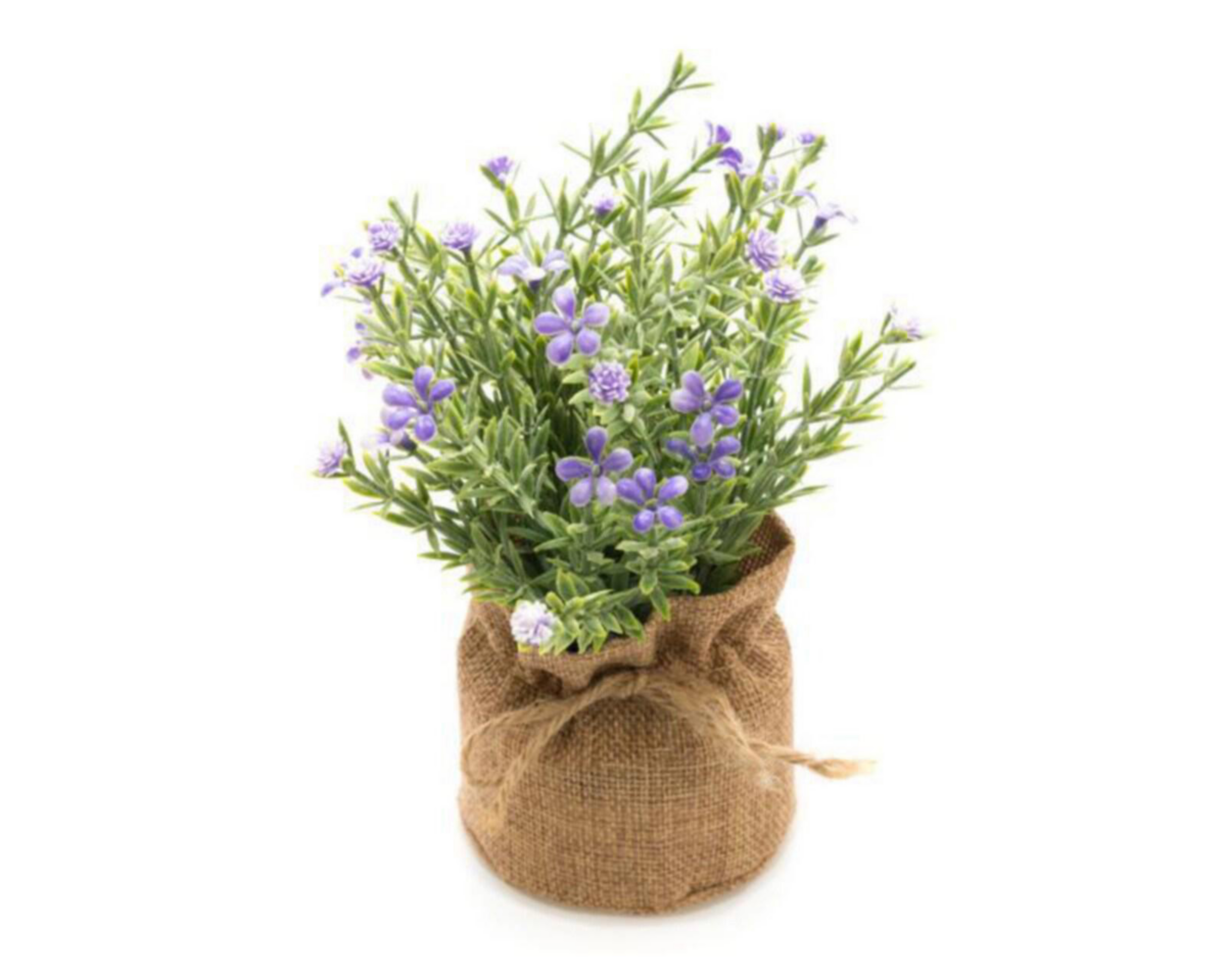 Foto 2 | Planta Decorativa Ellis Purple de 18 cm