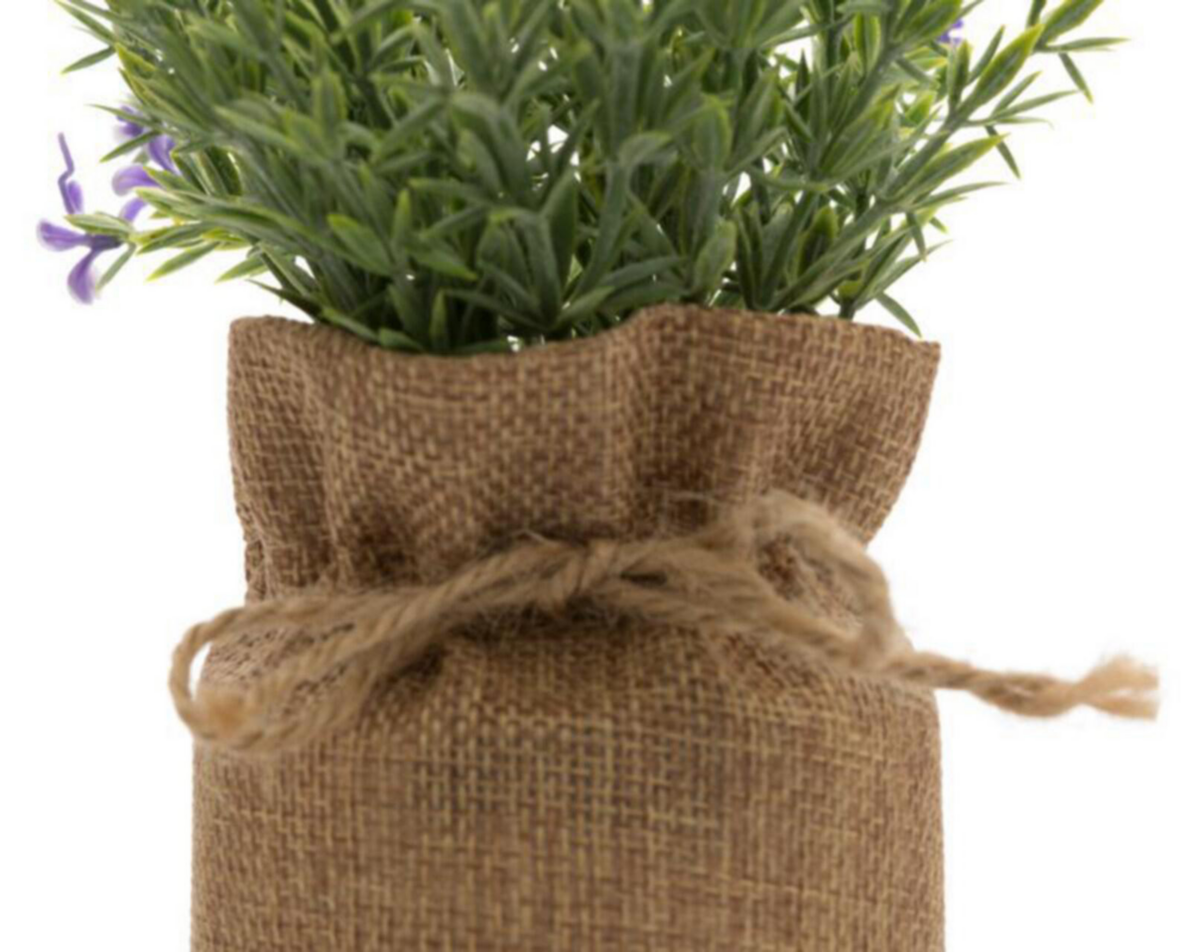 Foto 3 | Planta Decorativa Ellis Purple de 18 cm