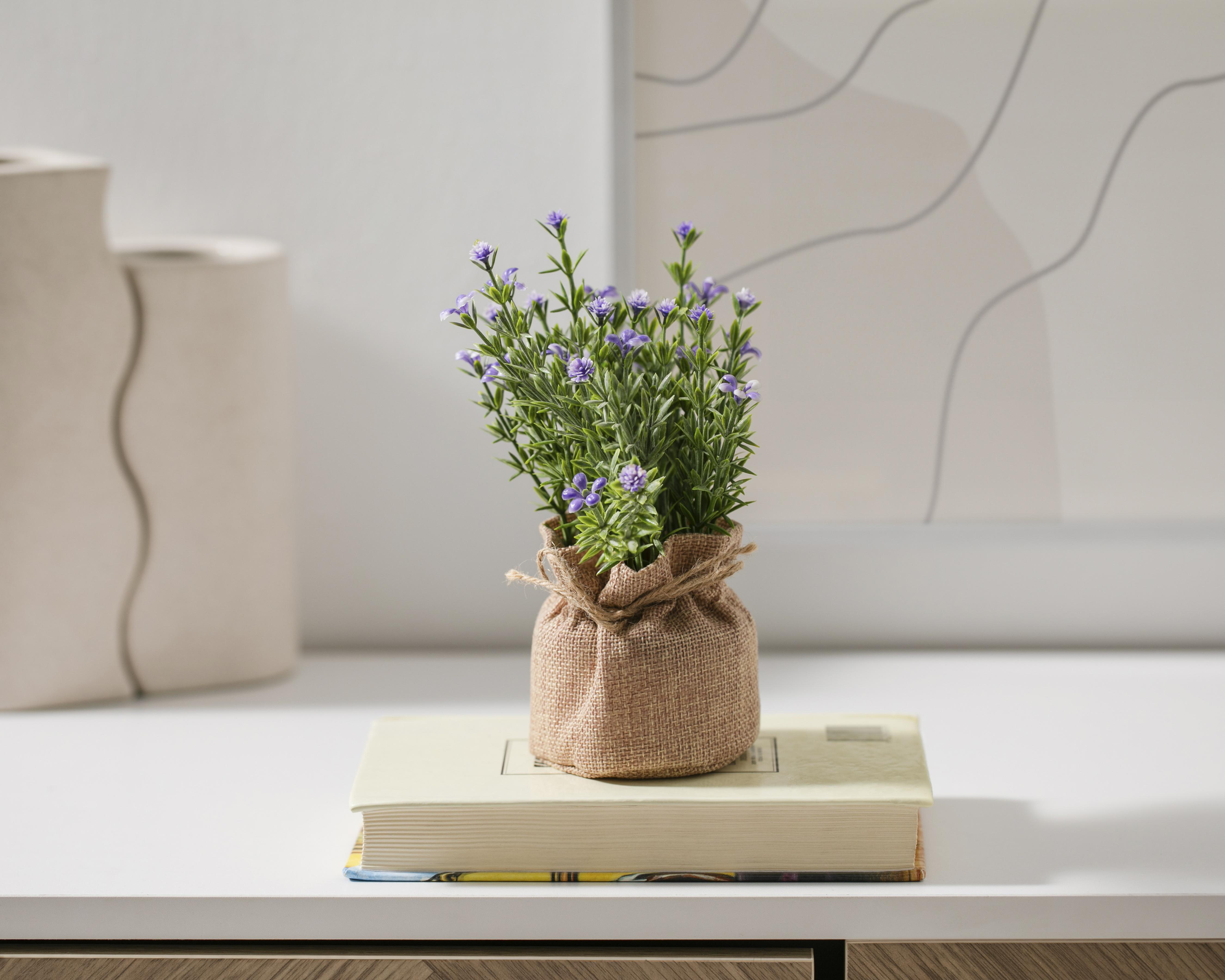 Foto 5 pulgar | Planta Decorativa Ellis Purple de 18 cm