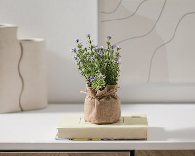 Foto 4 | Planta Decorativa Ellis Purple de 18 cm
