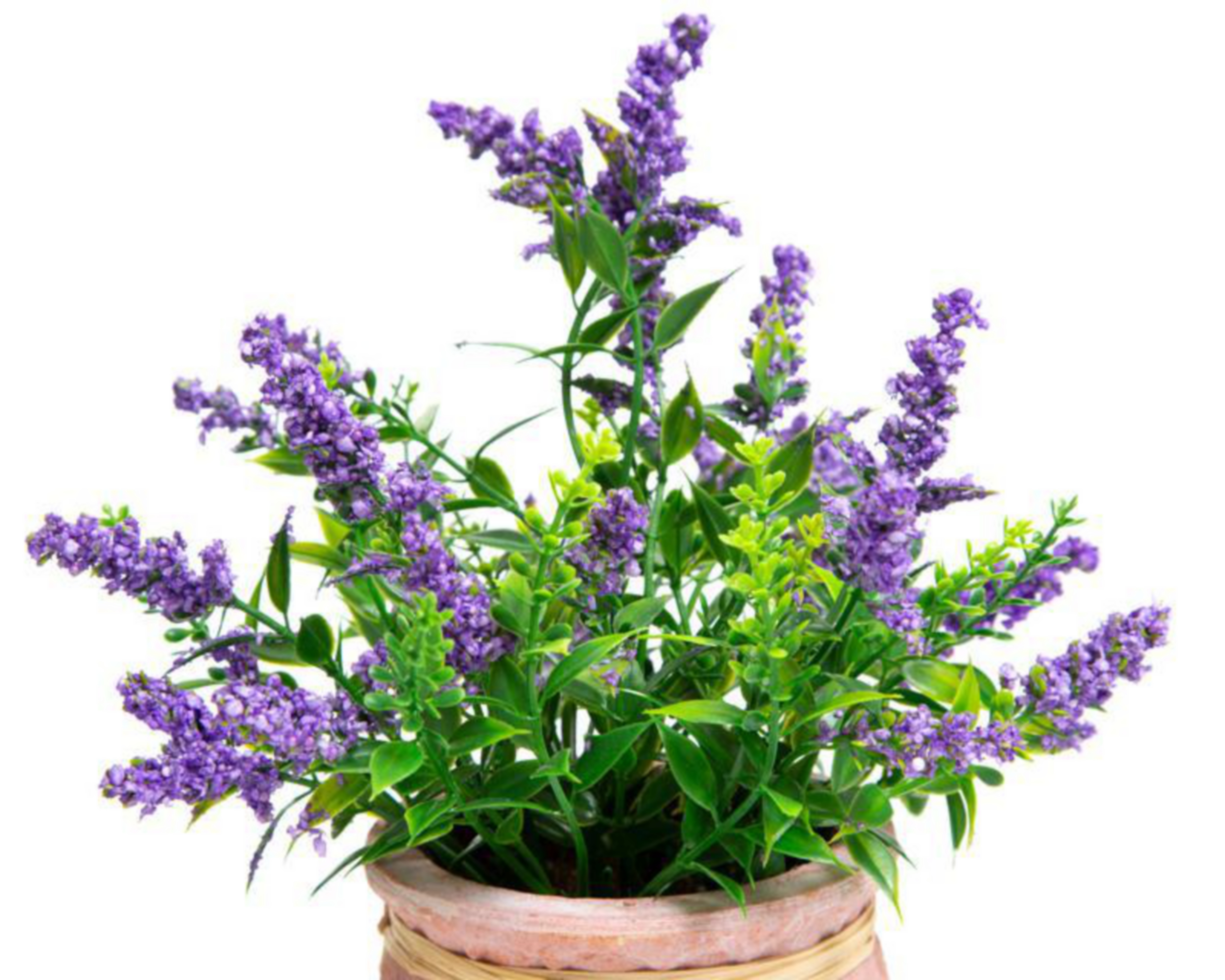 Foto 3 pulgar | Planta Artificial Ellen Purple 23cm