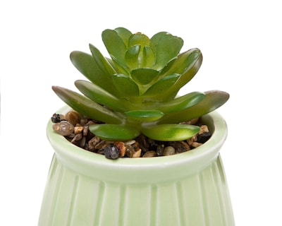 Foto 3 | Suculenta Artificial con Maceta Starhaus 13 cm