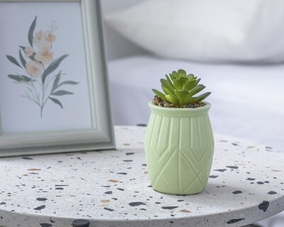 Foto 4 | Suculenta Artificial con Maceta Starhaus 13 cm