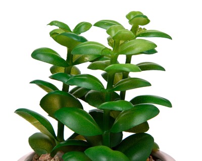 Foto 2 | Bonsai Artificial con Maceta Starhaus 15.5 cm