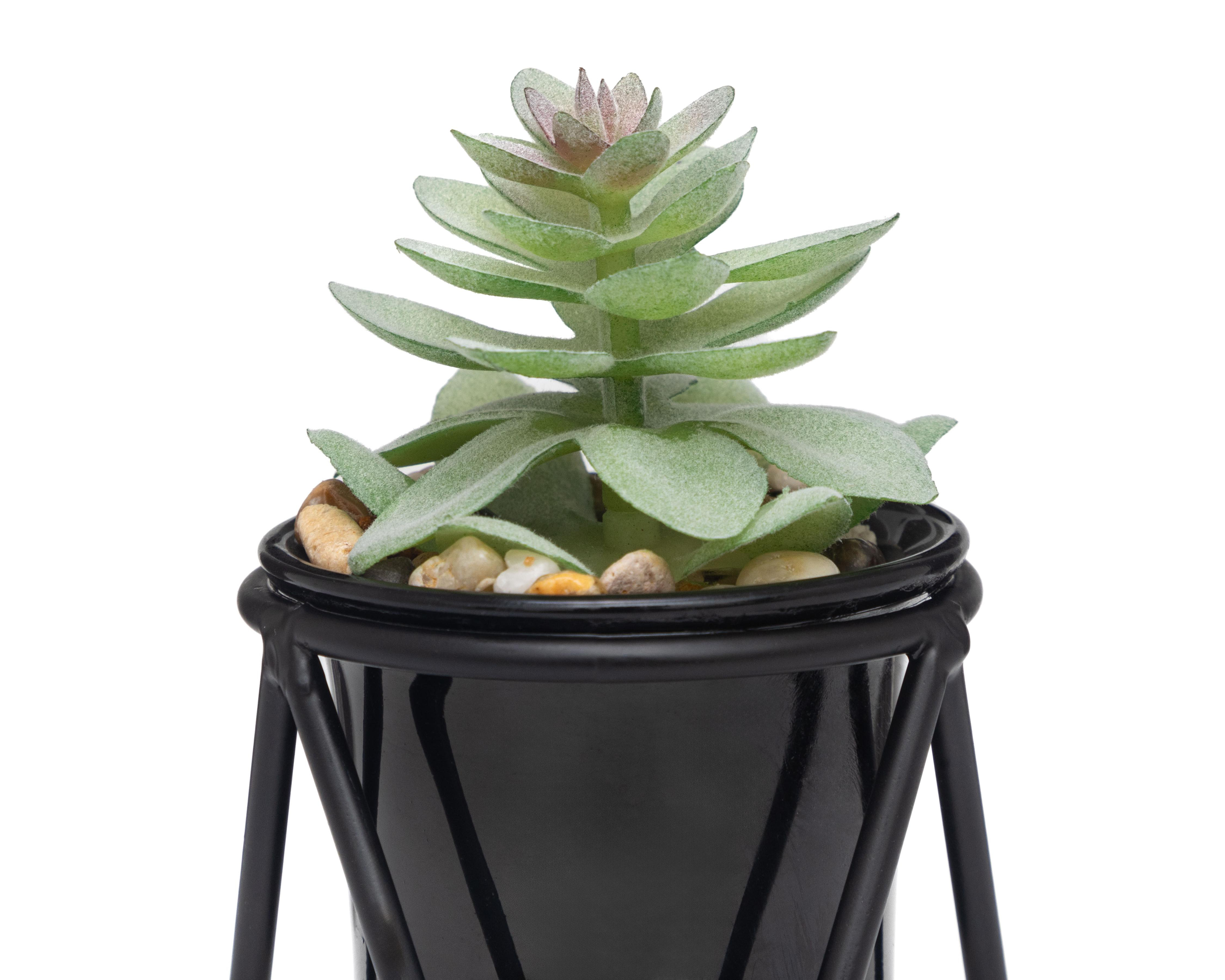 Foto 3 | Suculenta Artificial con Maceta Starhaus 12 cm