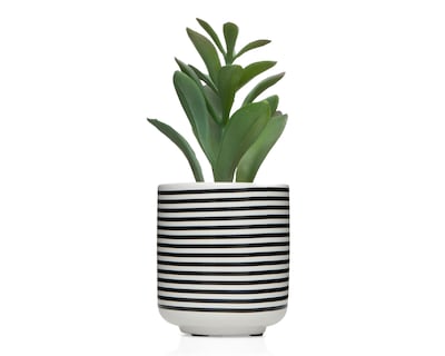 Foto 1 | Suculenta Artificial con Maceta Starhaus de 17 cm