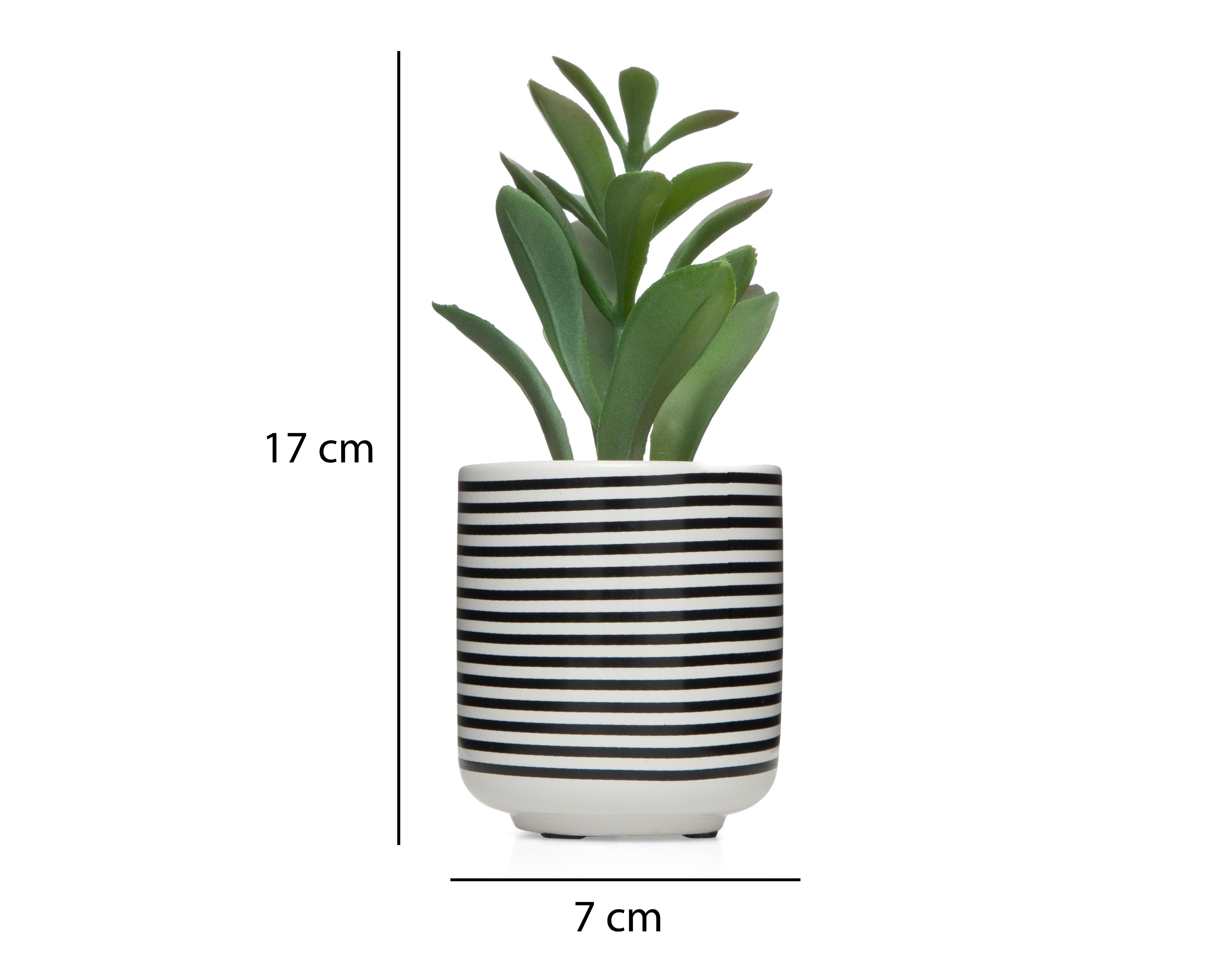 Foto 5 | Suculenta Artificial con Maceta Starhaus de 17 cm