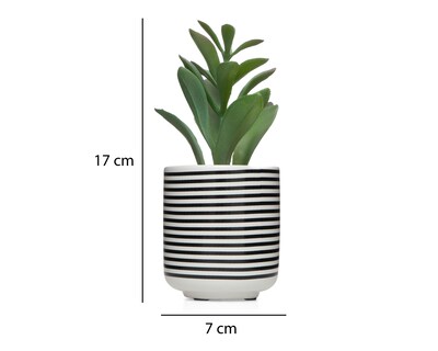 Foto 5 | Suculenta Artificial con Maceta Starhaus de 17 cm