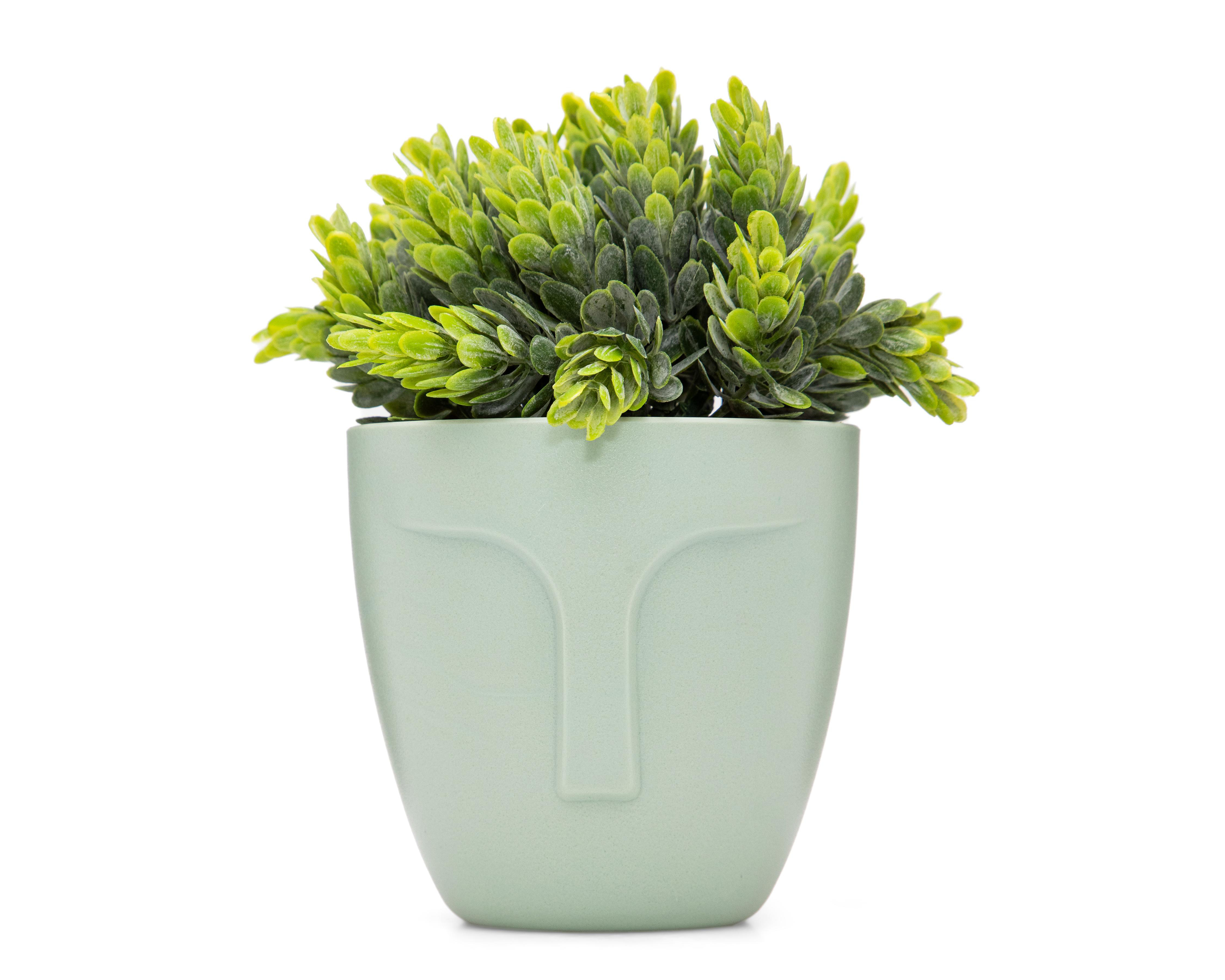 Crassula Artificial con Maceta Starhaus 15 cm