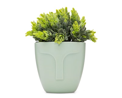 Foto 1 | Crassula Artificial con Maceta Starhaus 15 cm