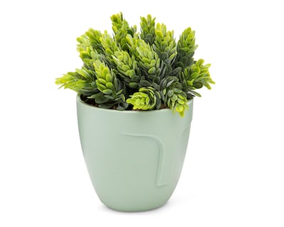 Foto 2 | Crassula Artificial con Maceta Starhaus 15 cm