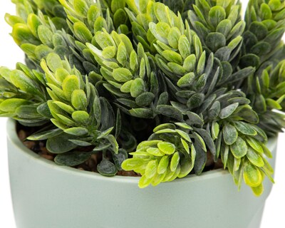 Foto 3 | Crassula Artificial con Maceta Starhaus 15 cm