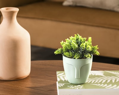 Foto 4 | Crassula Artificial con Maceta Starhaus 15 cm