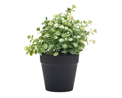 Foto 1 | Eucalipto Artificial con Maceta Starhaus 19 cm